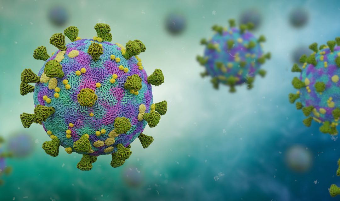 “Vaccine Verification for Workers in Schools” Rescinded