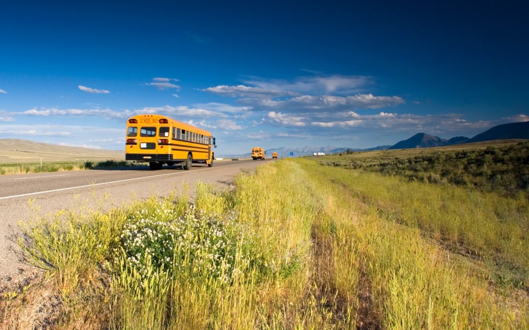 National School Bus Safety Week 2025